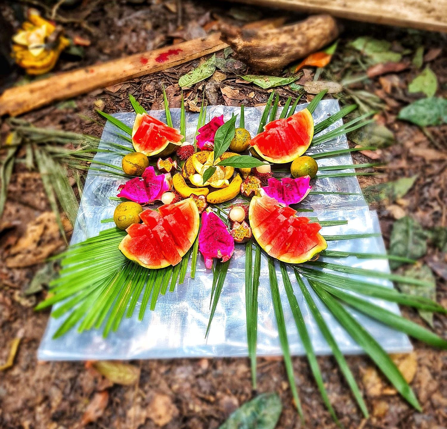 Tropical Jungle lodge & Jungle trekking