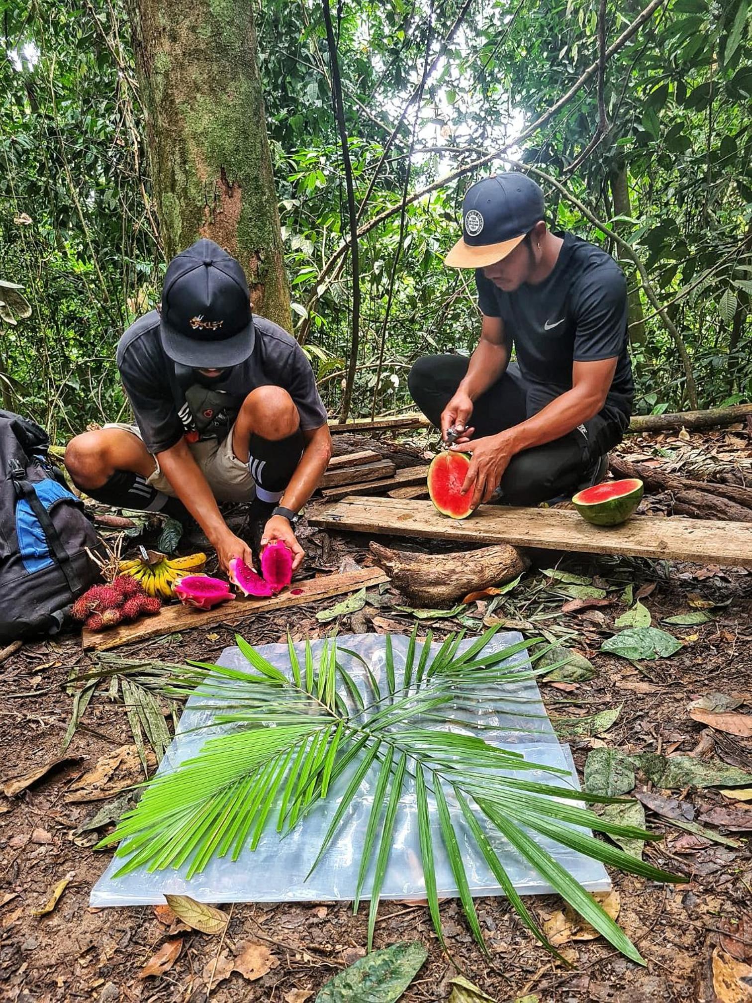 Tropical Jungle lodge & Jungle trekking