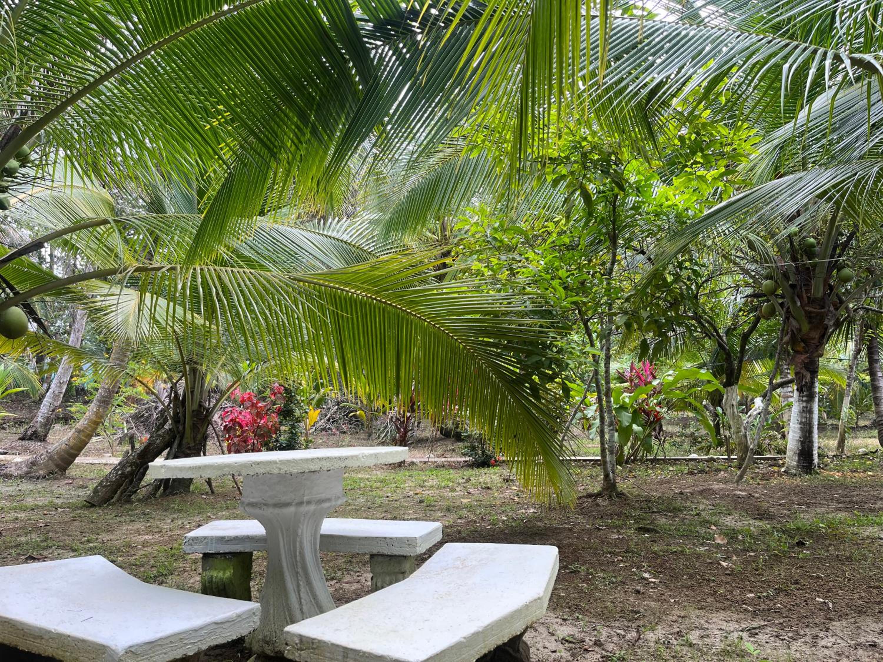 Secret Paradise