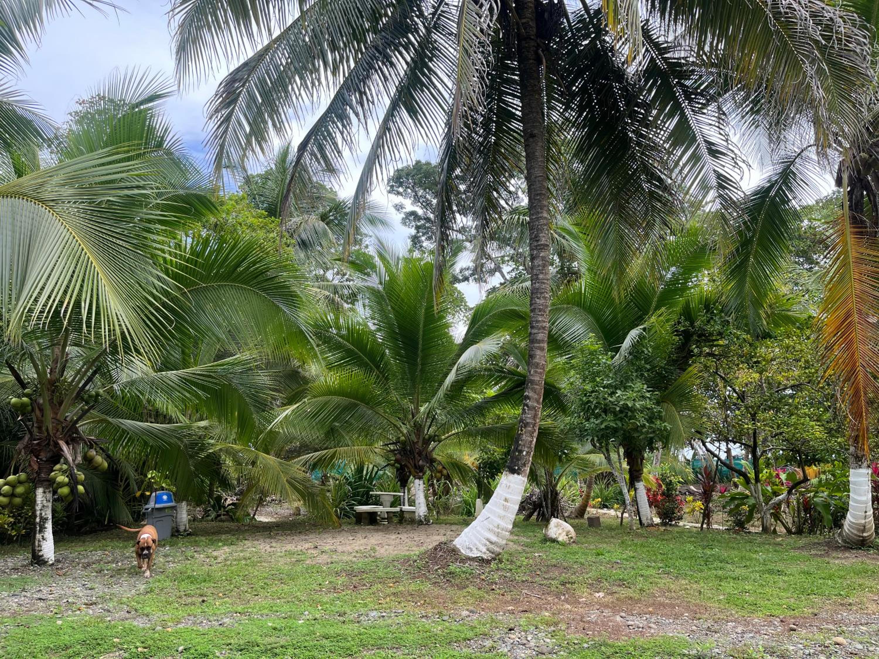 Secret Paradise