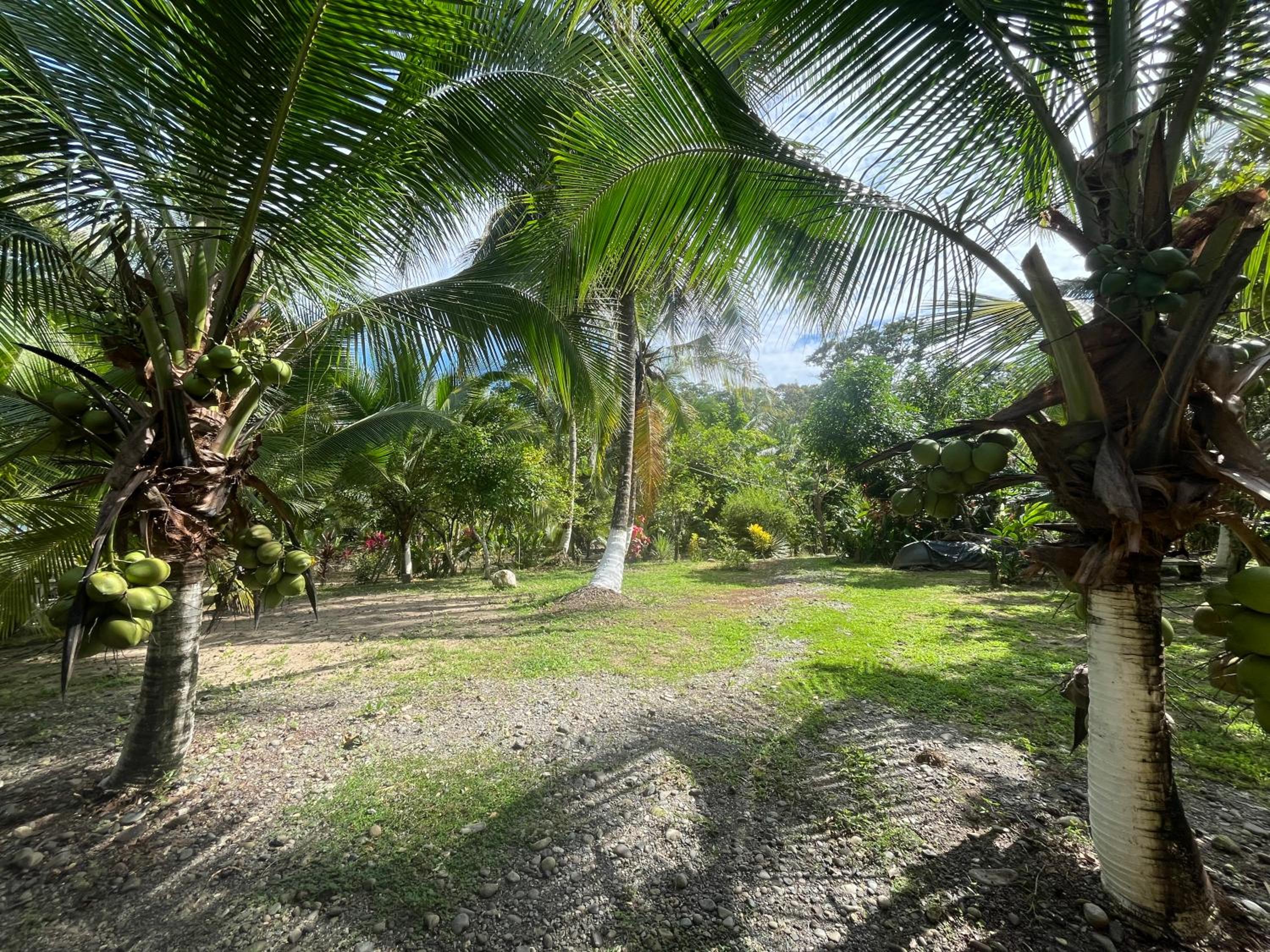 Secret Paradise
