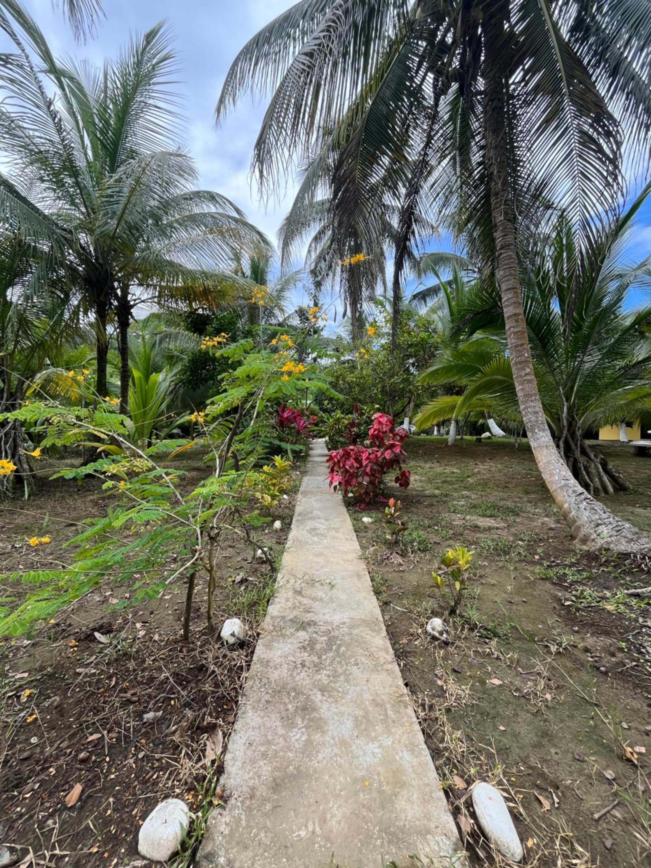 Secret Paradise