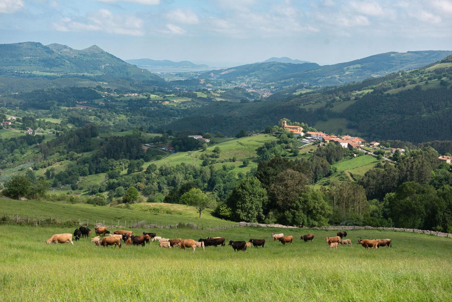 Conjunto Rural la Tejedora. Albergue y estudios familiares.