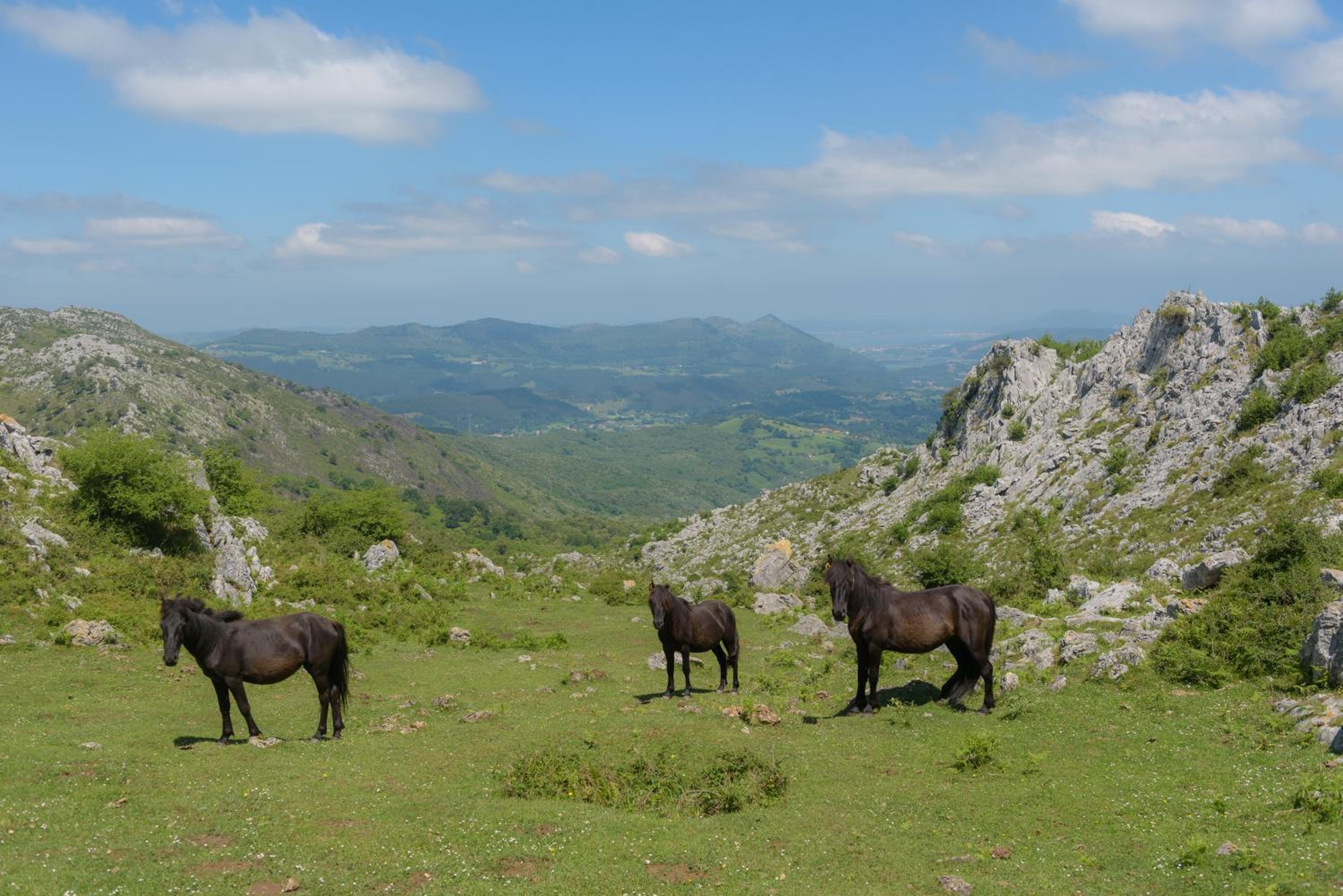 Conjunto Rural la Tejedora. Albergue y estudios familiares.