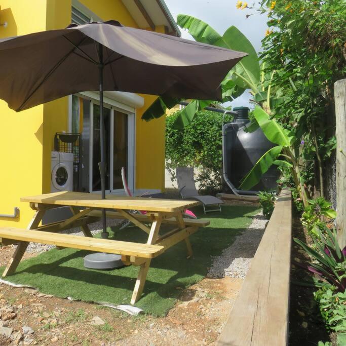 Jeune Tournesol (Bungalow neuf) view 3
