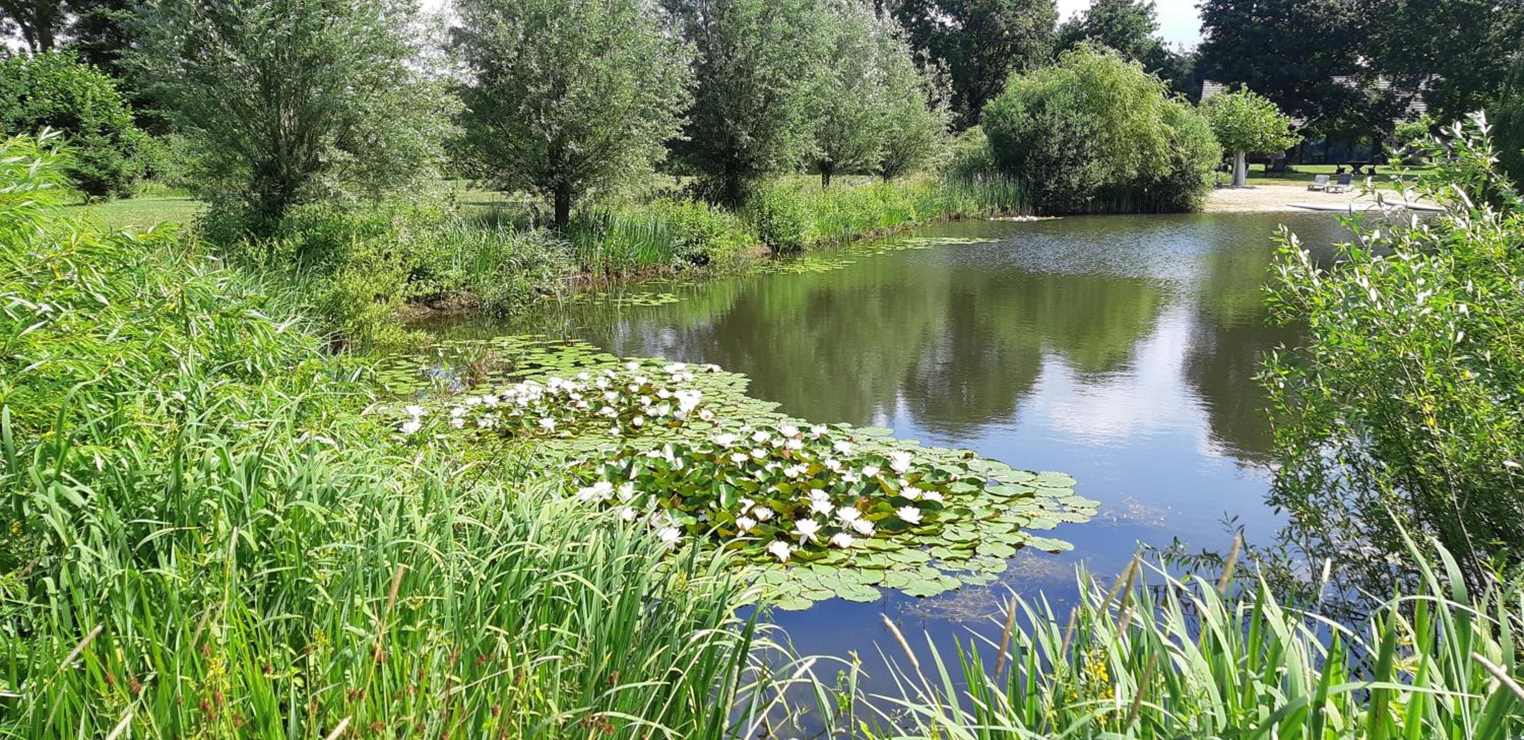 Photo 46