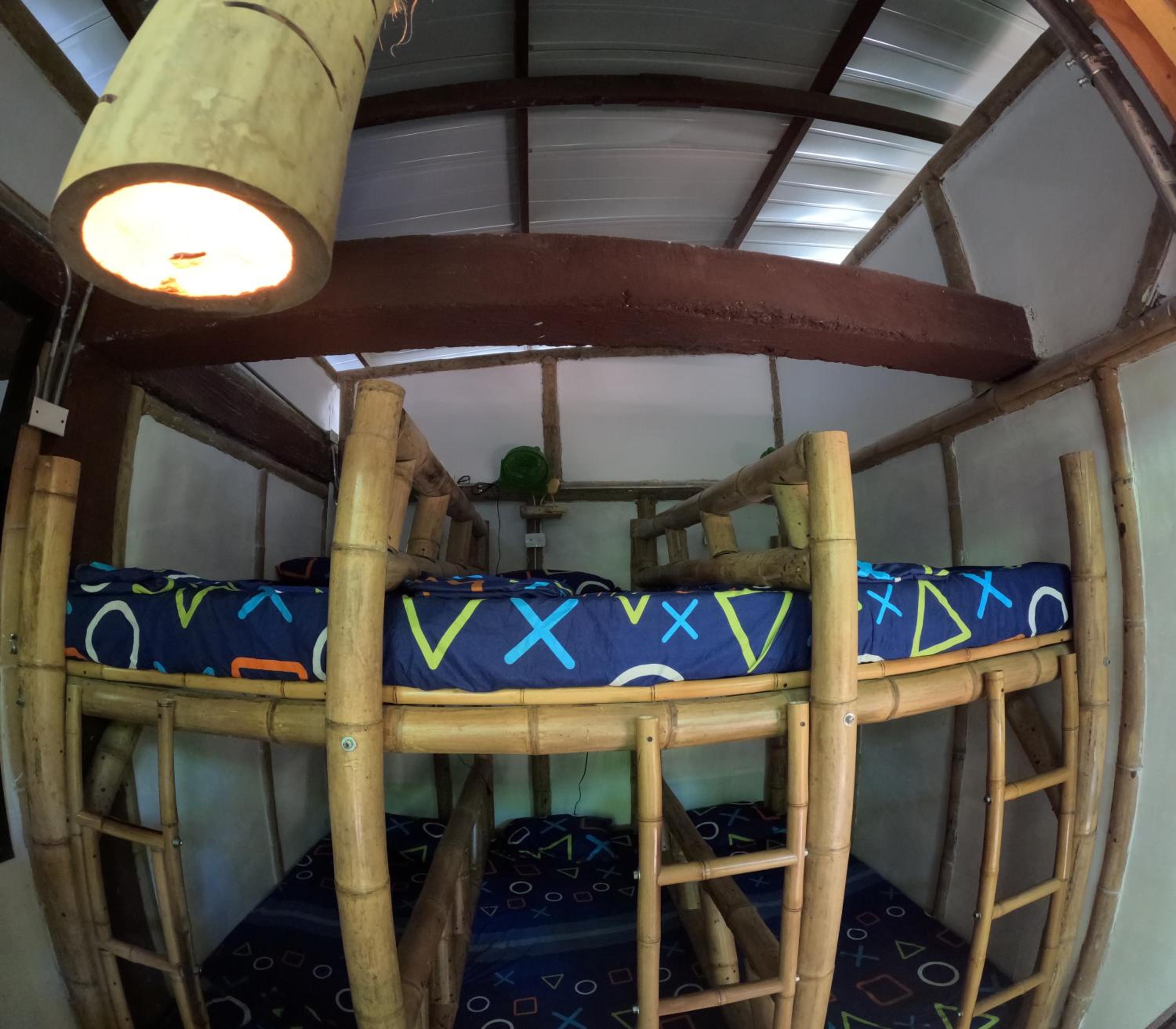 Bio Coliving Tayrona -Espacio para vivir trabajar y descansar en naturaleza