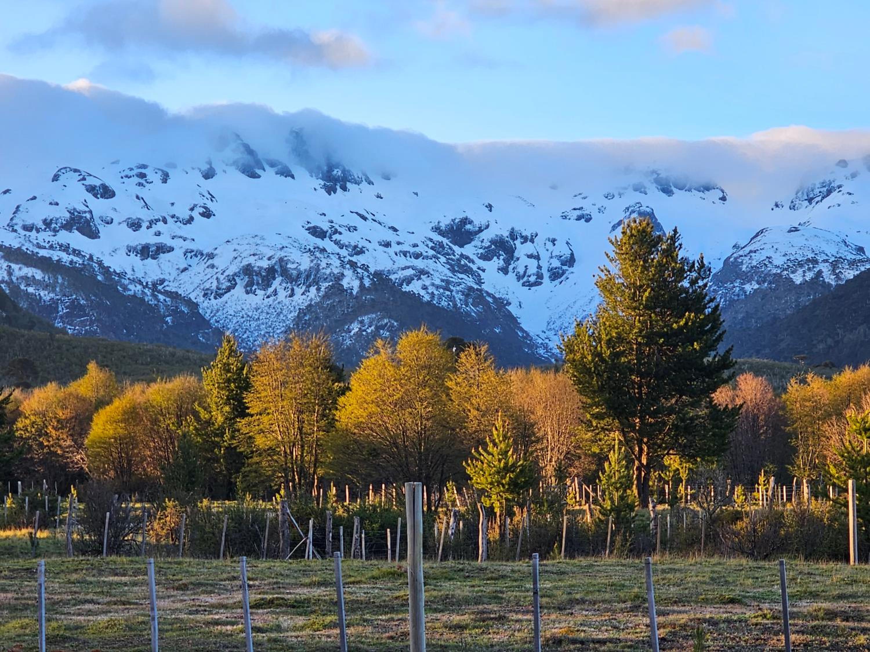 Cabañas Entre Cumbres