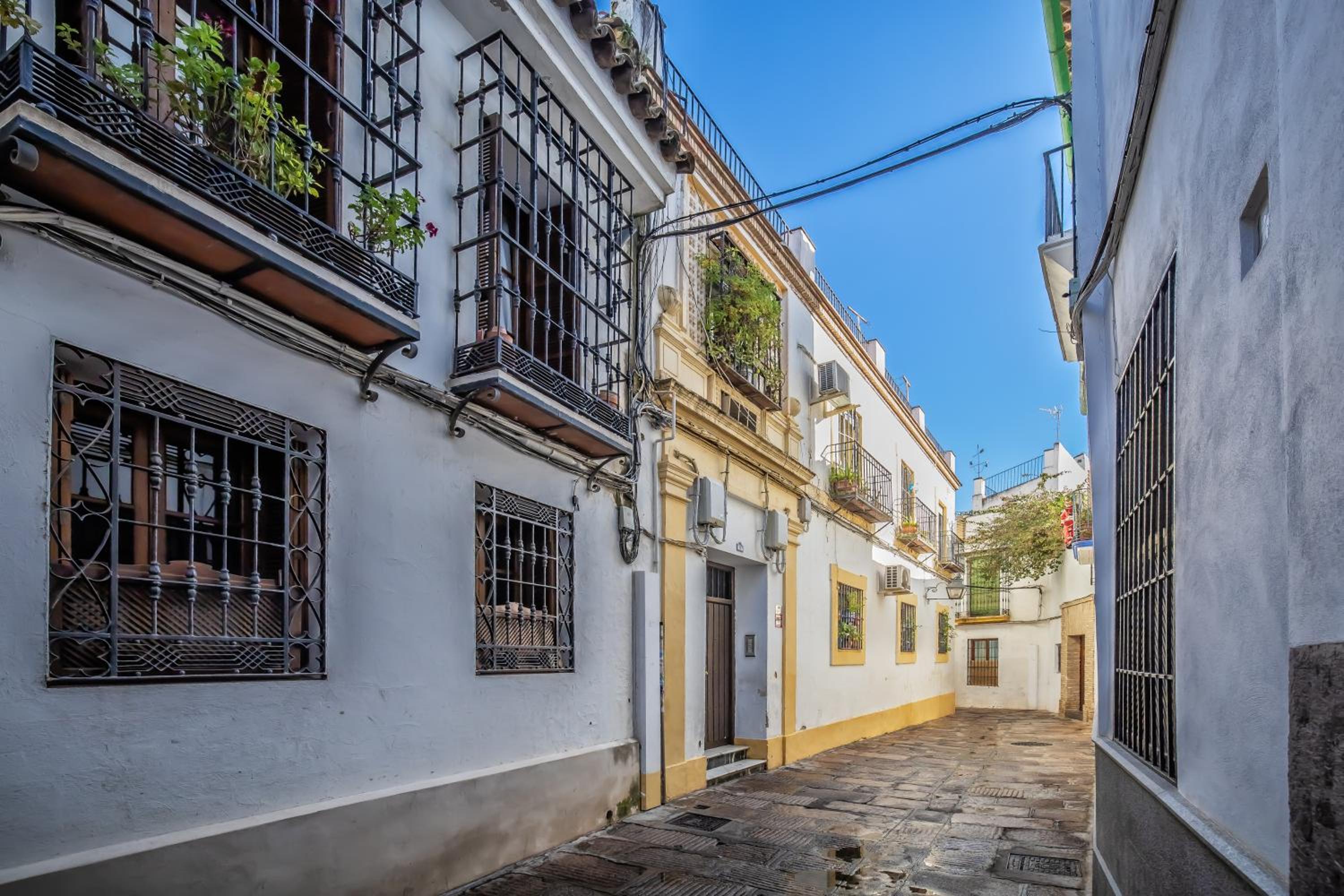 Rosas en la balconada