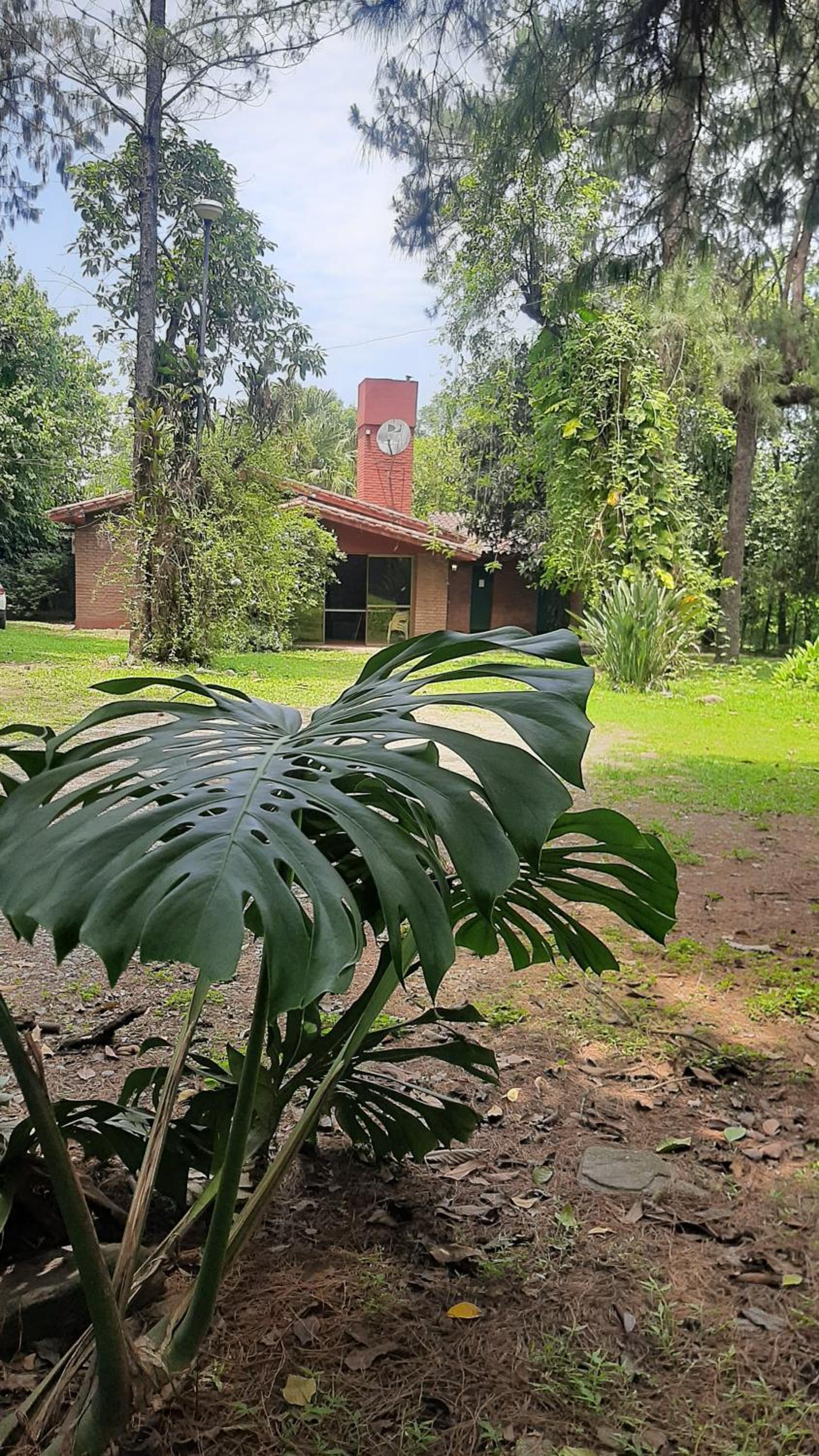 La Manquel - Casa y Yungas