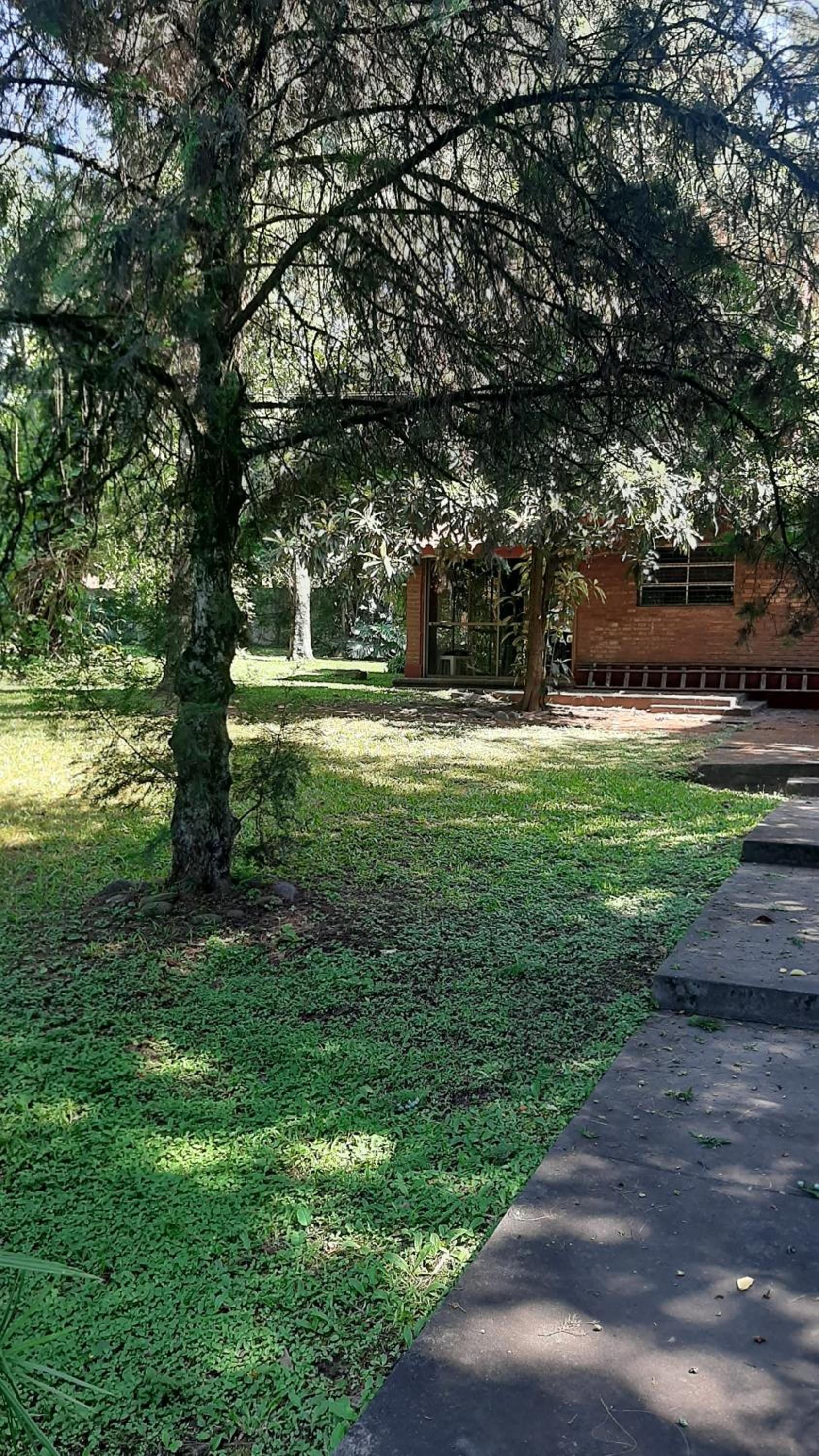 La Manquel - Casa y Yungas