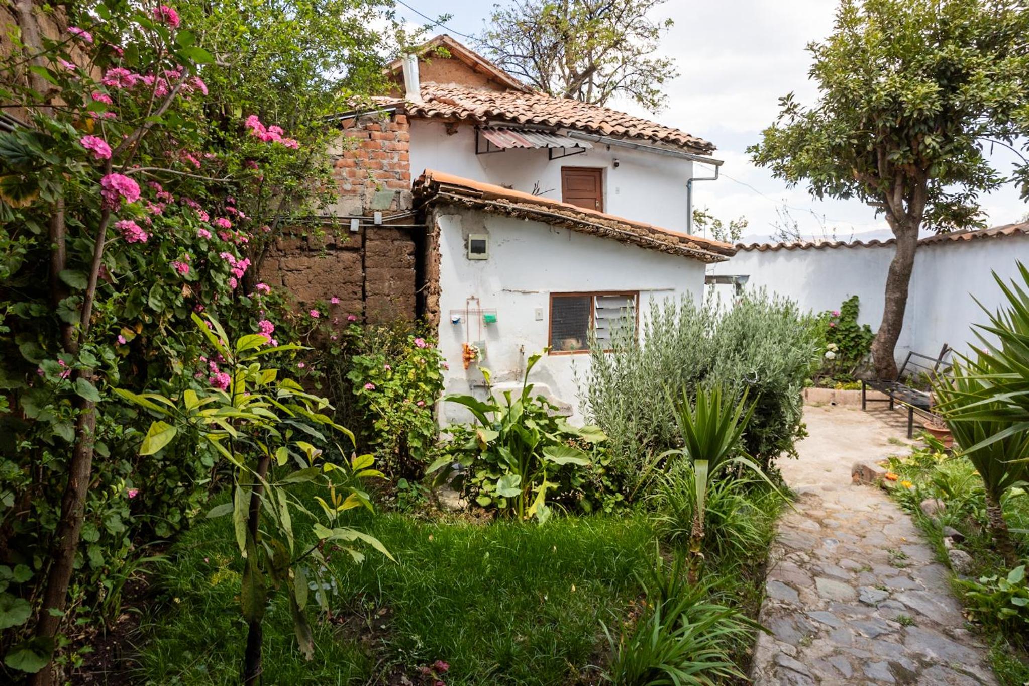 Photo 21