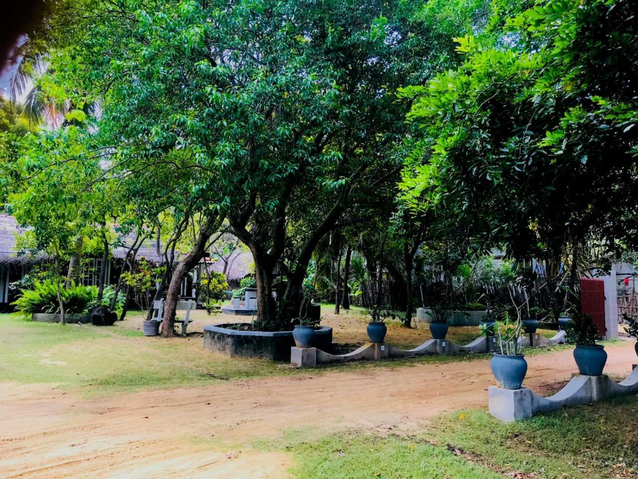 Werala Beach Resort view 4