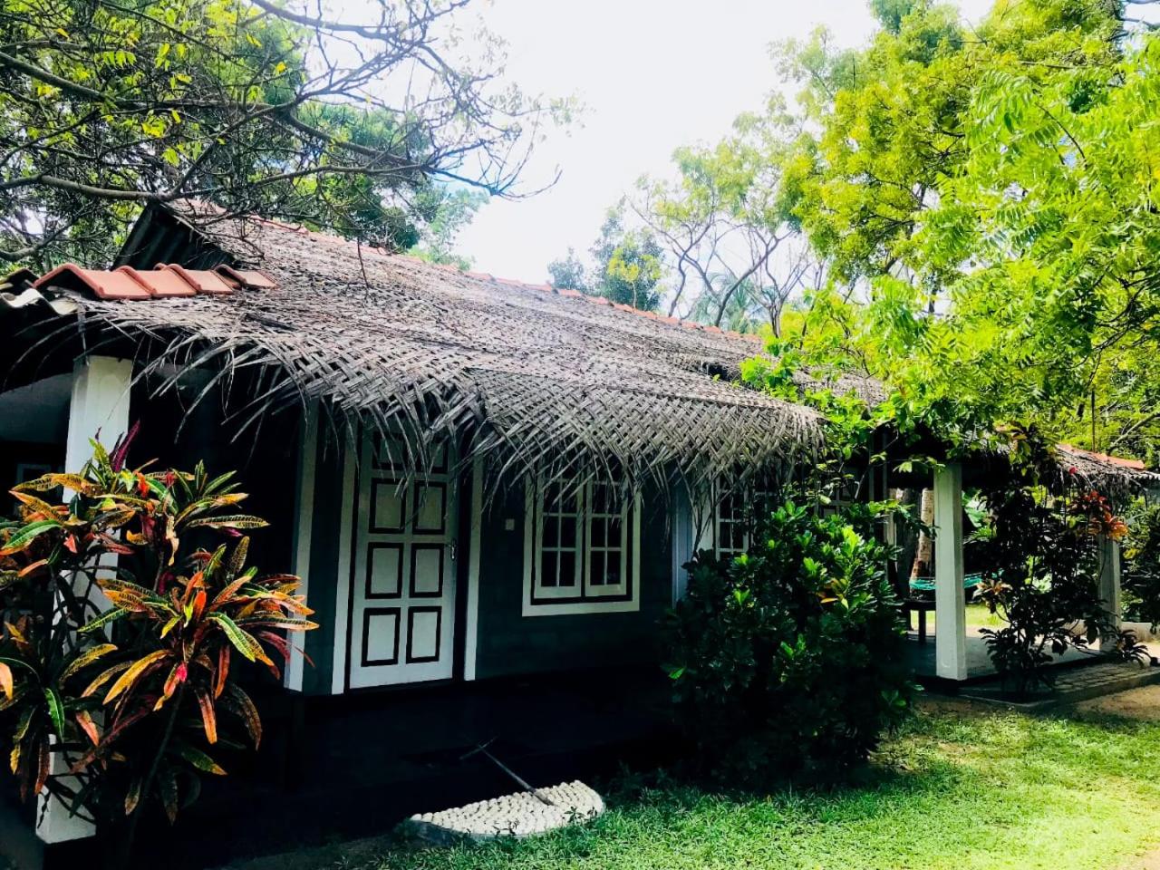 Photo 66