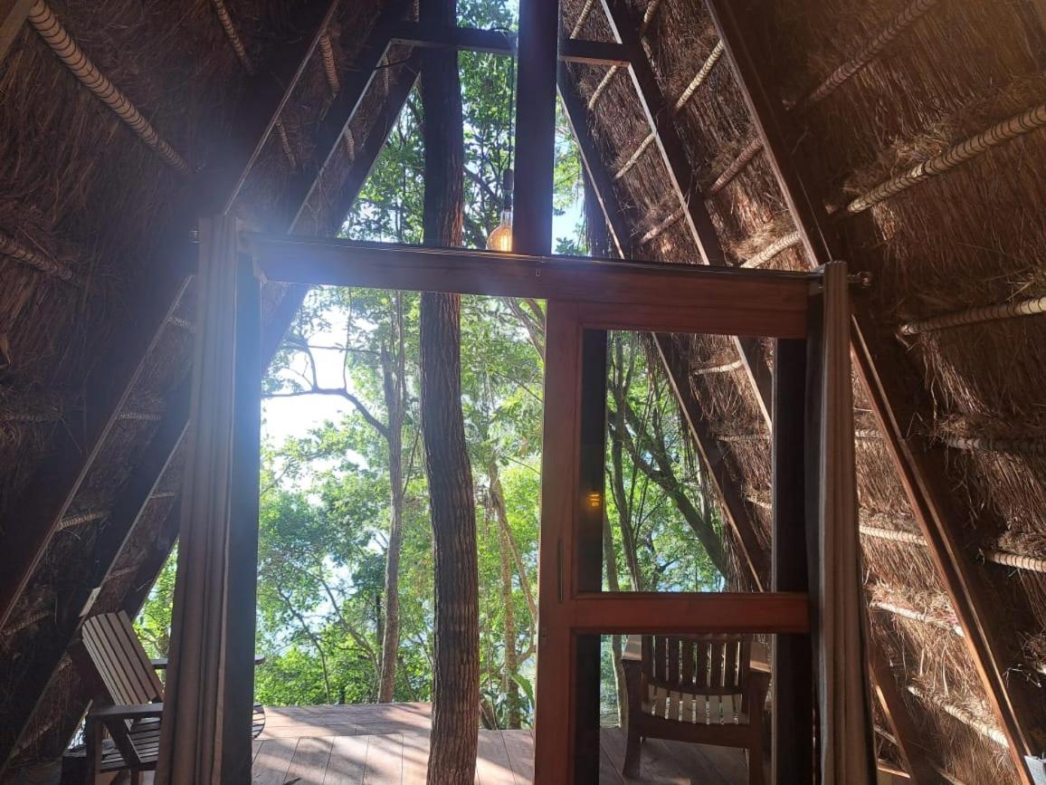 Photo 96