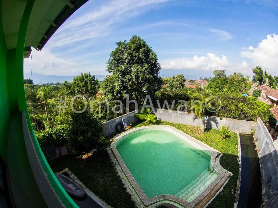Omah Awan at Desa Wisata Petik Jeruk Selorejo