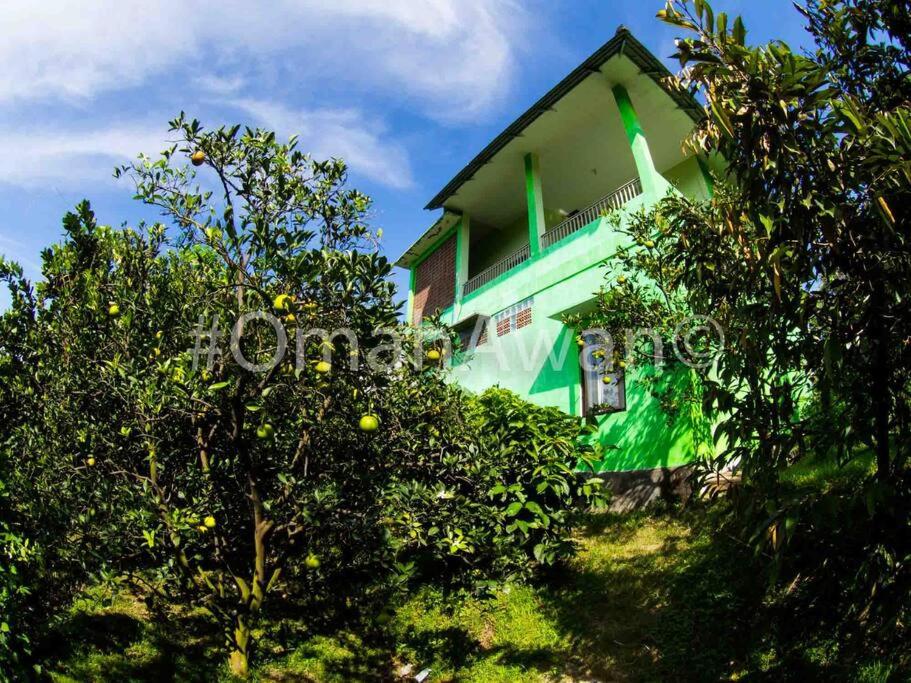 Omah Awan at Desa Wisata Petik Jeruk Selorejo