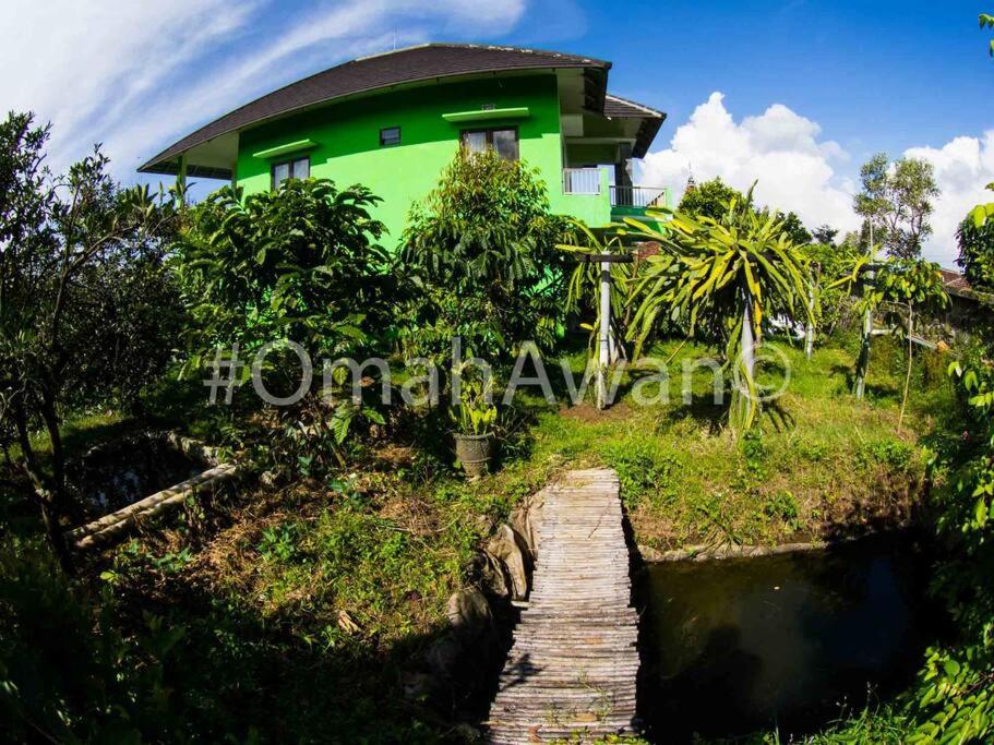 Omah Awan at Desa Wisata Petik Jeruk Selorejo