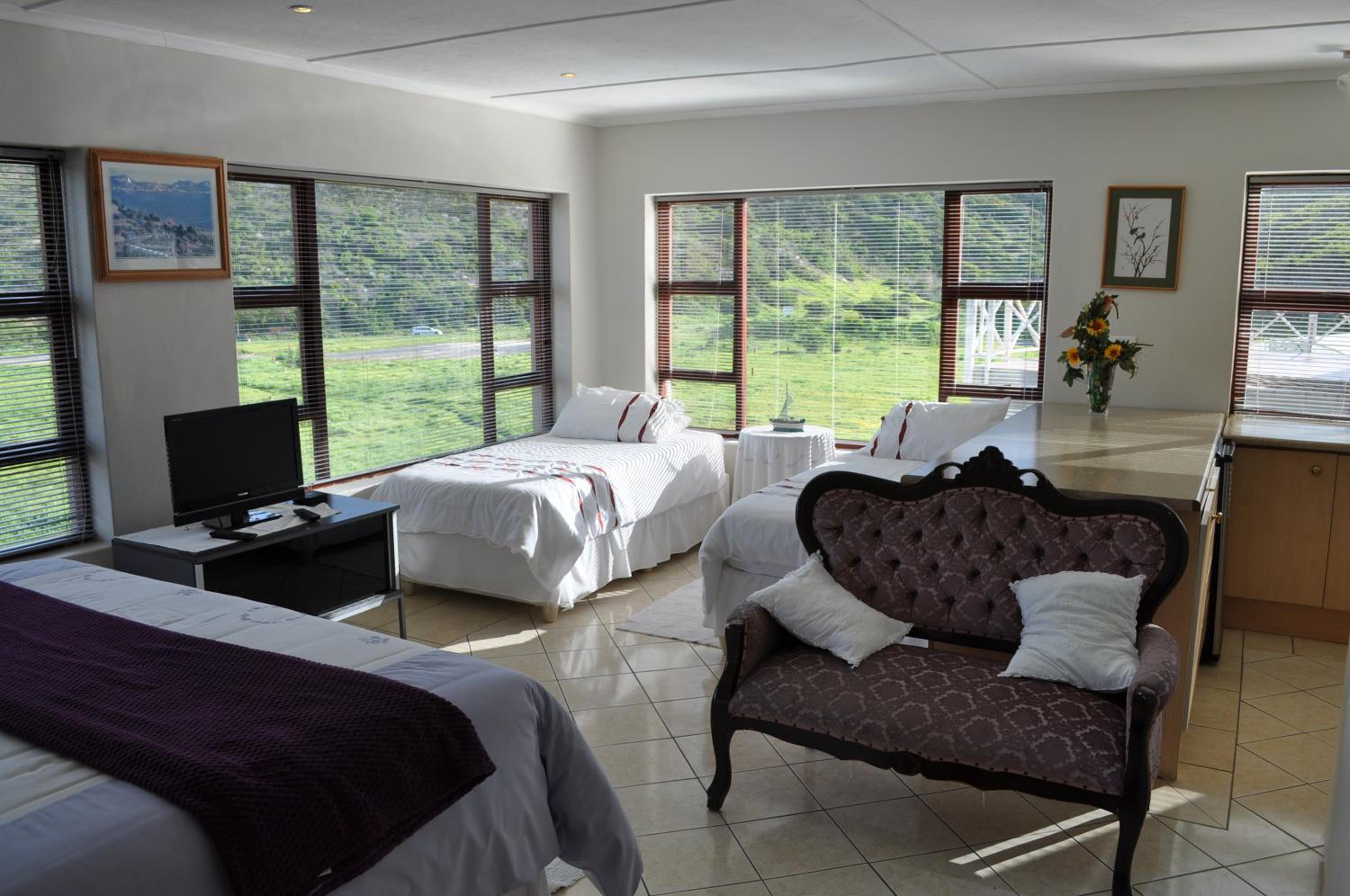 15 On Penguin Guesthouse view 2