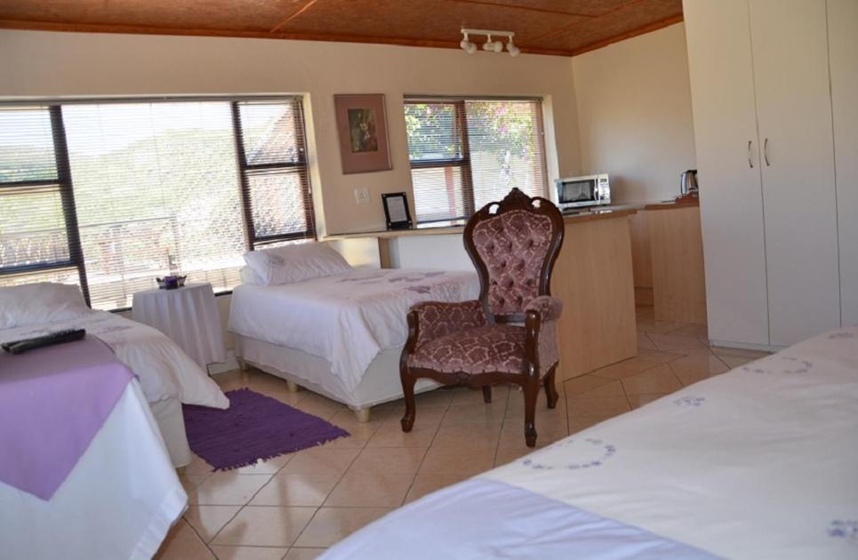 15 On Penguin Guesthouse view 4