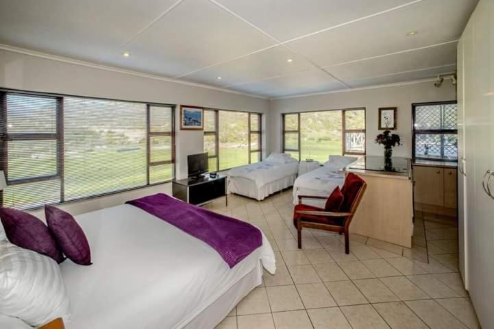 15 On Penguin Guesthouse view 5