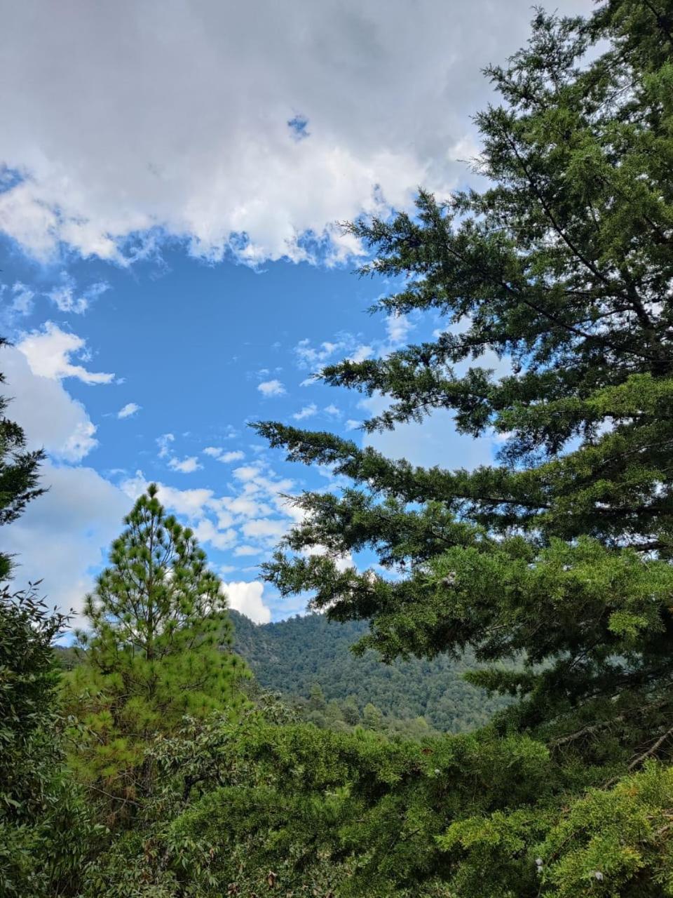 Aranya Mukteshwar