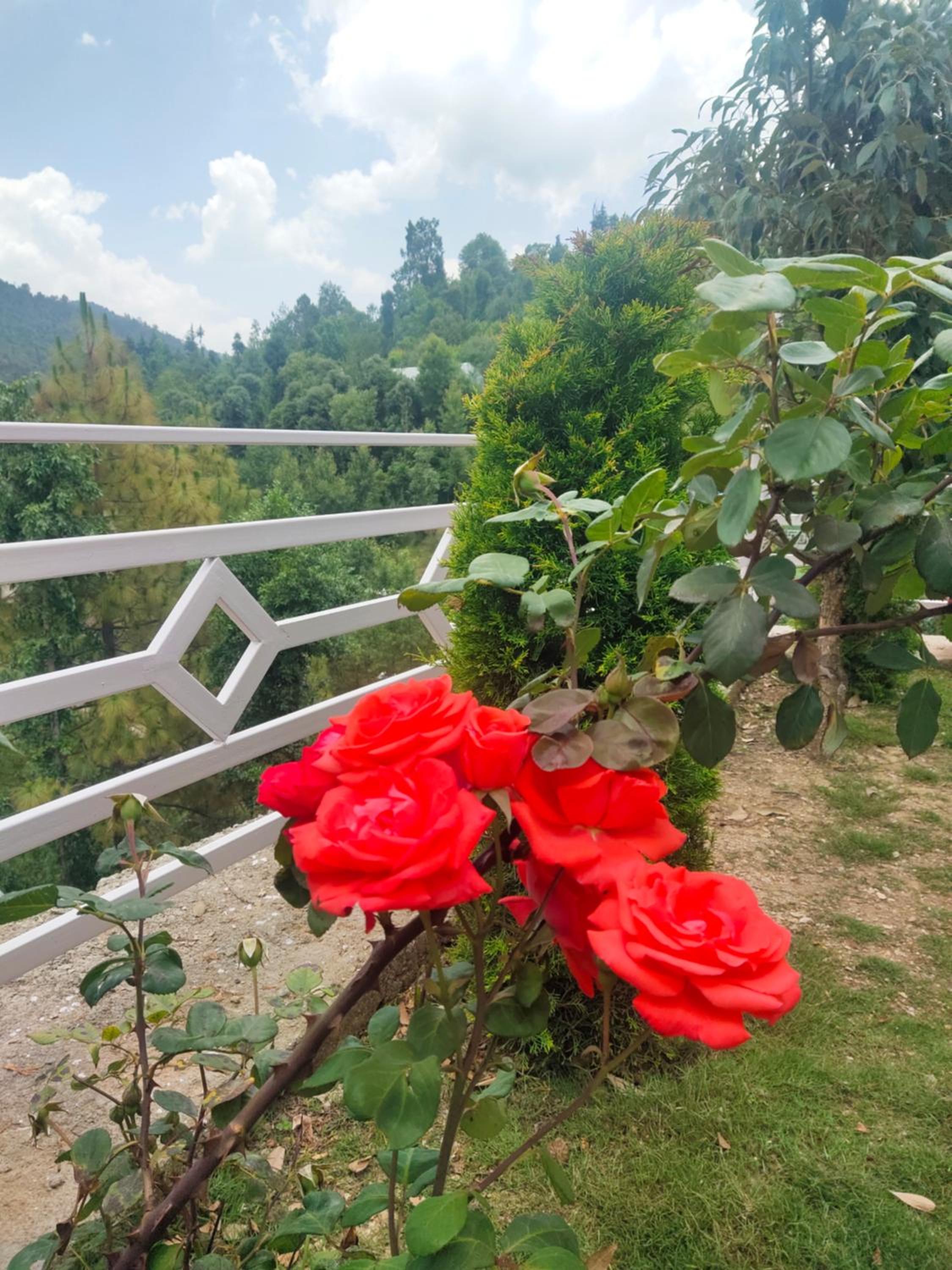 Aranya Mukteshwar
