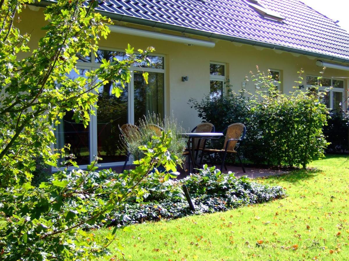 4 Sterne Apartment Dünensand Sauna und Terasse in Südwestlage