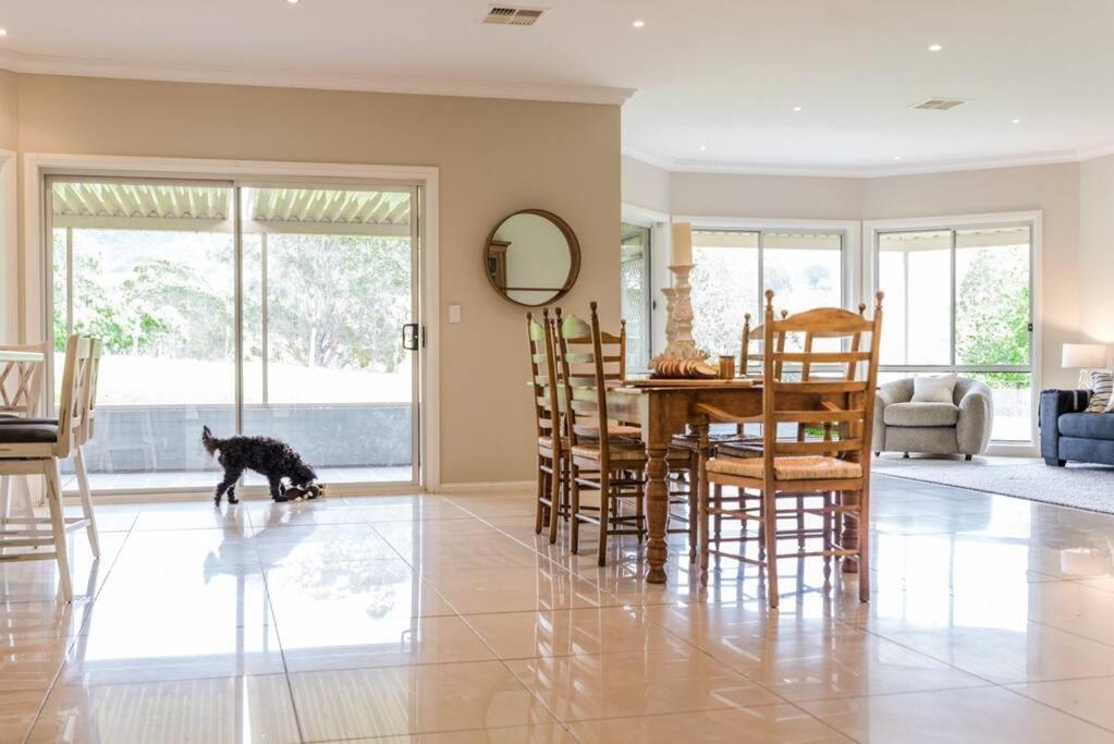 Woodland Retreat in Hunter Valley - dog friendly