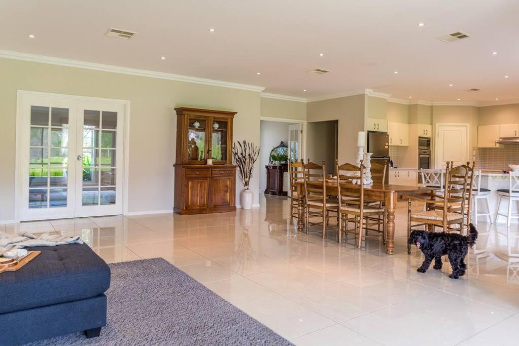 Woodland Retreat in Hunter Valley - dog friendly