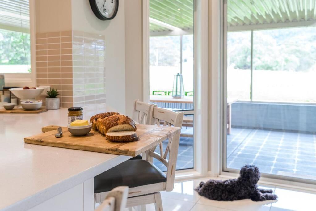 Woodland Retreat in Hunter Valley - dog friendly