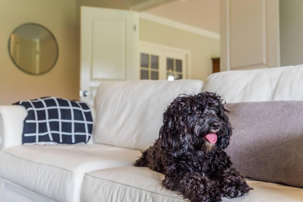 Woodland Retreat in Hunter Valley - dog friendly