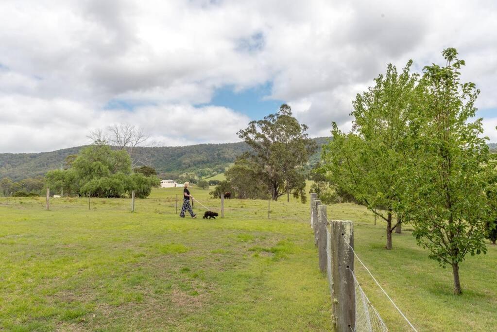 Woodland Retreat in Hunter Valley - dog friendly