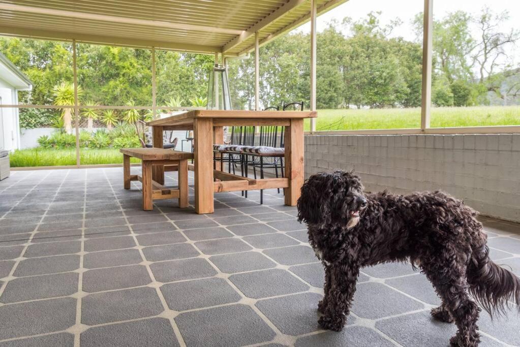 Woodland Retreat in Hunter Valley - dog friendly