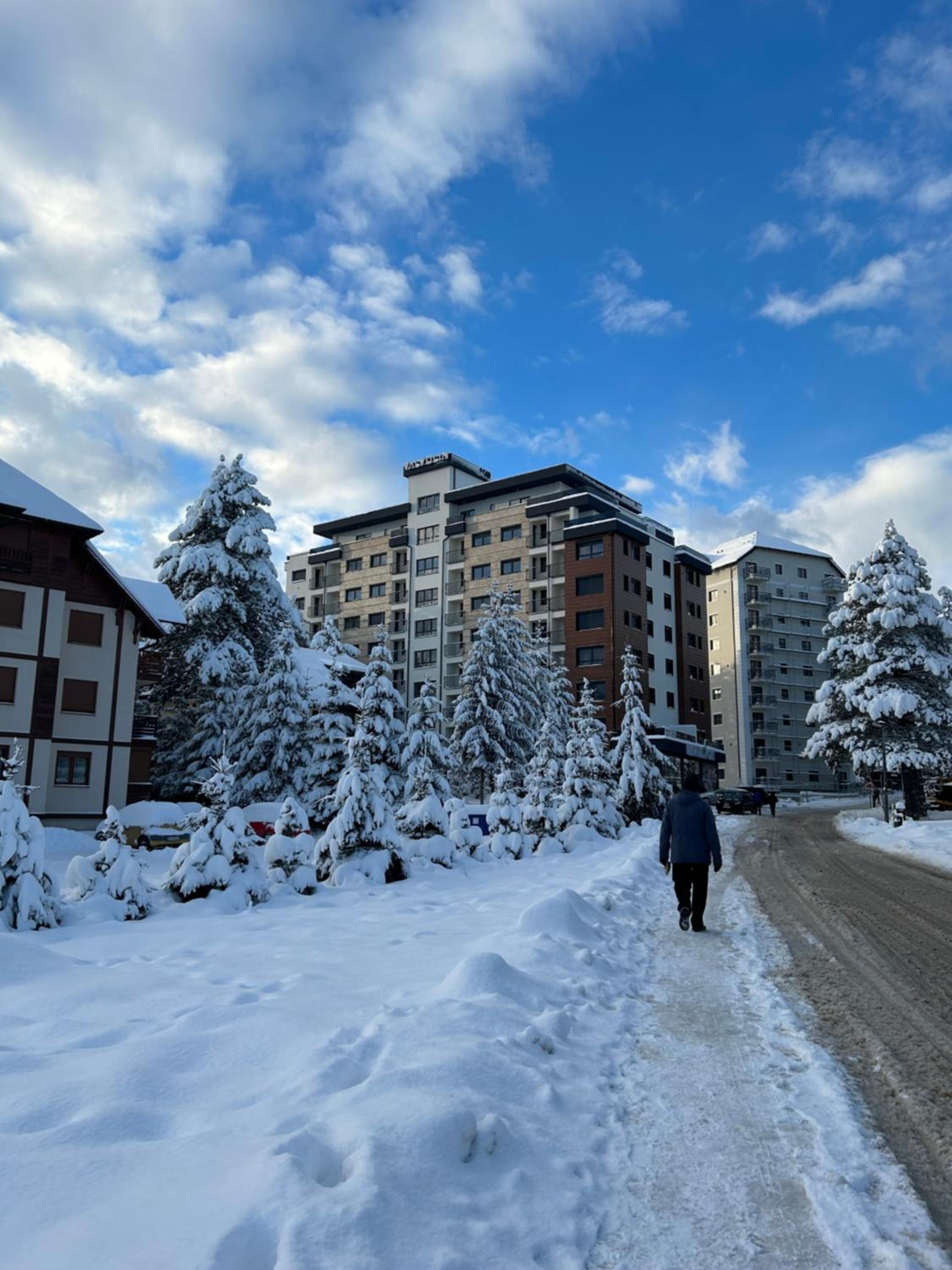 Pinoli gold Zlatibor