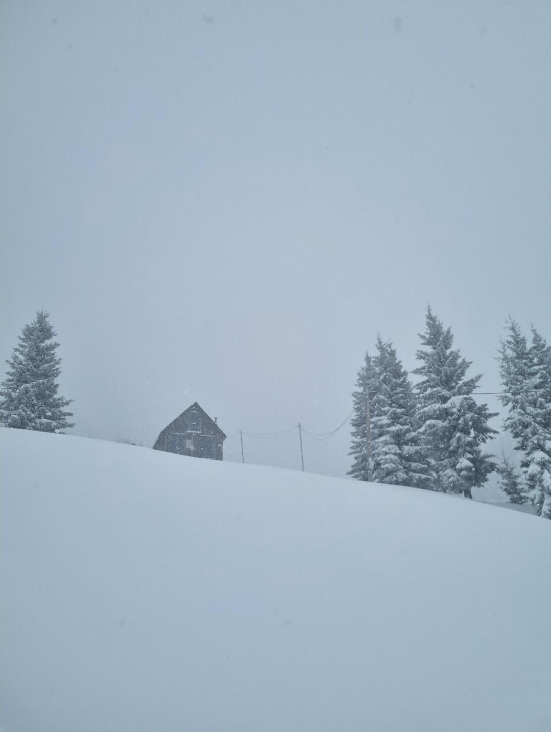 Cottage SuBree on Goderdzi view 5