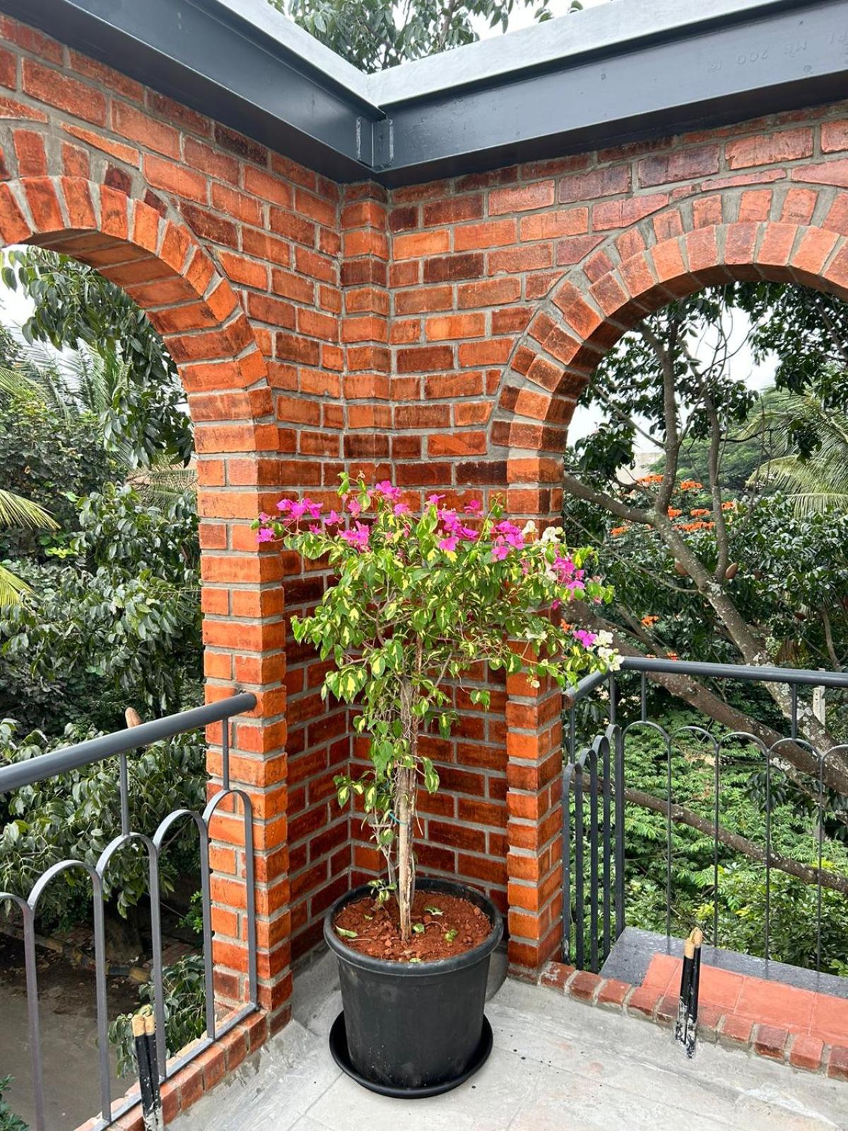 Limelights Premium Serviced Residences