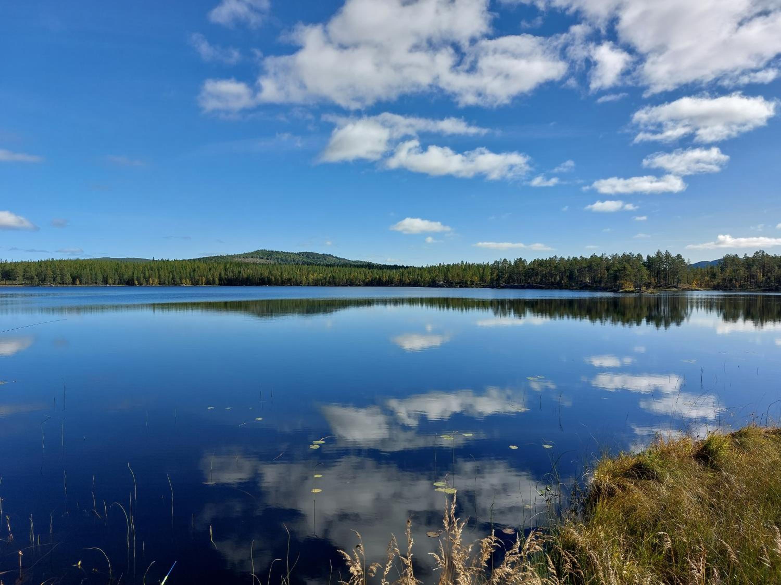 Photo 64