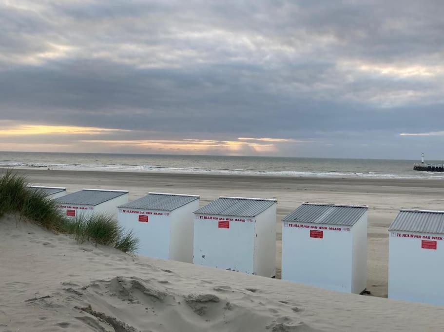 Ruim en modern appartement ideaal gelegen tussen zee en jachthaven