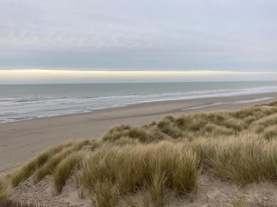 Ruim en modern appartement ideaal gelegen tussen zee en jachthaven