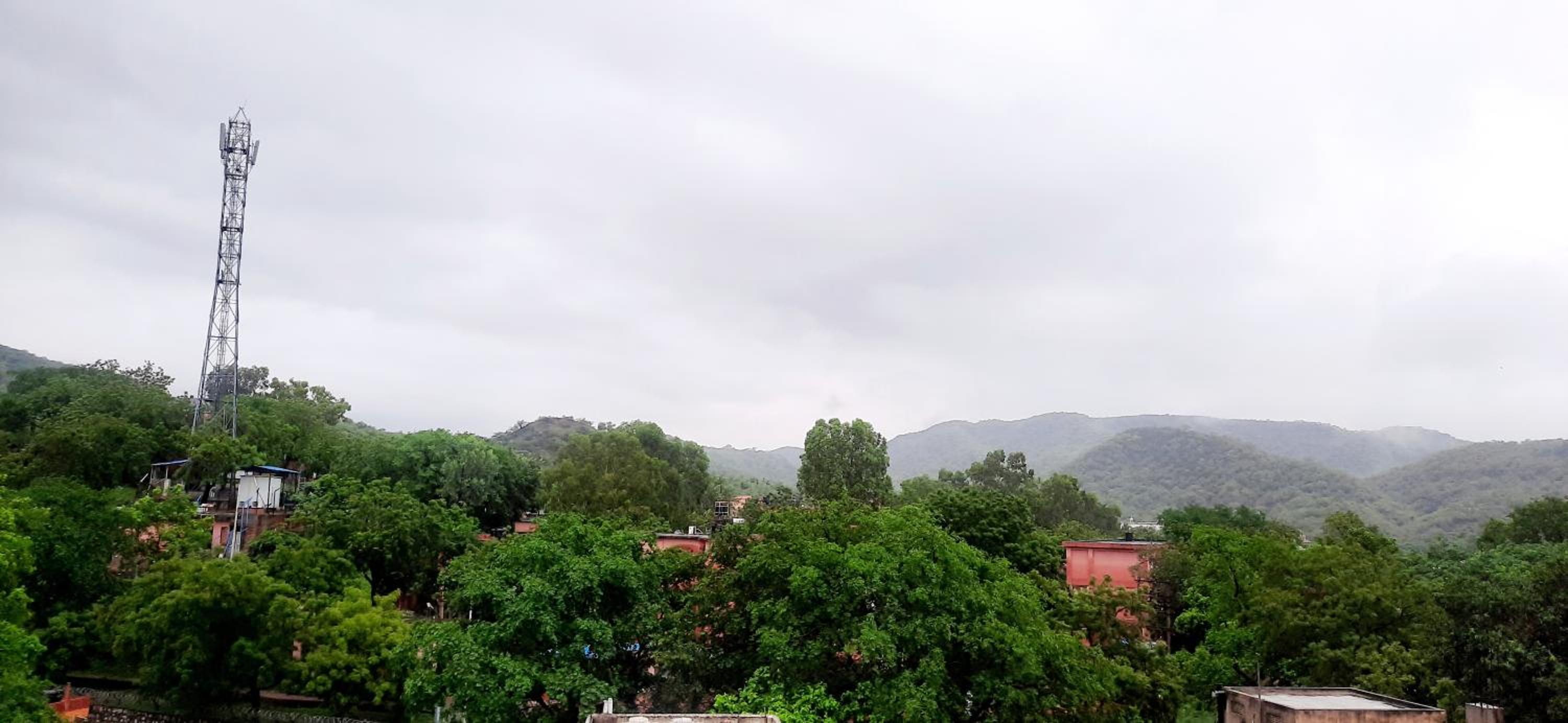 Vedic Life Homestay & Wellness Centre