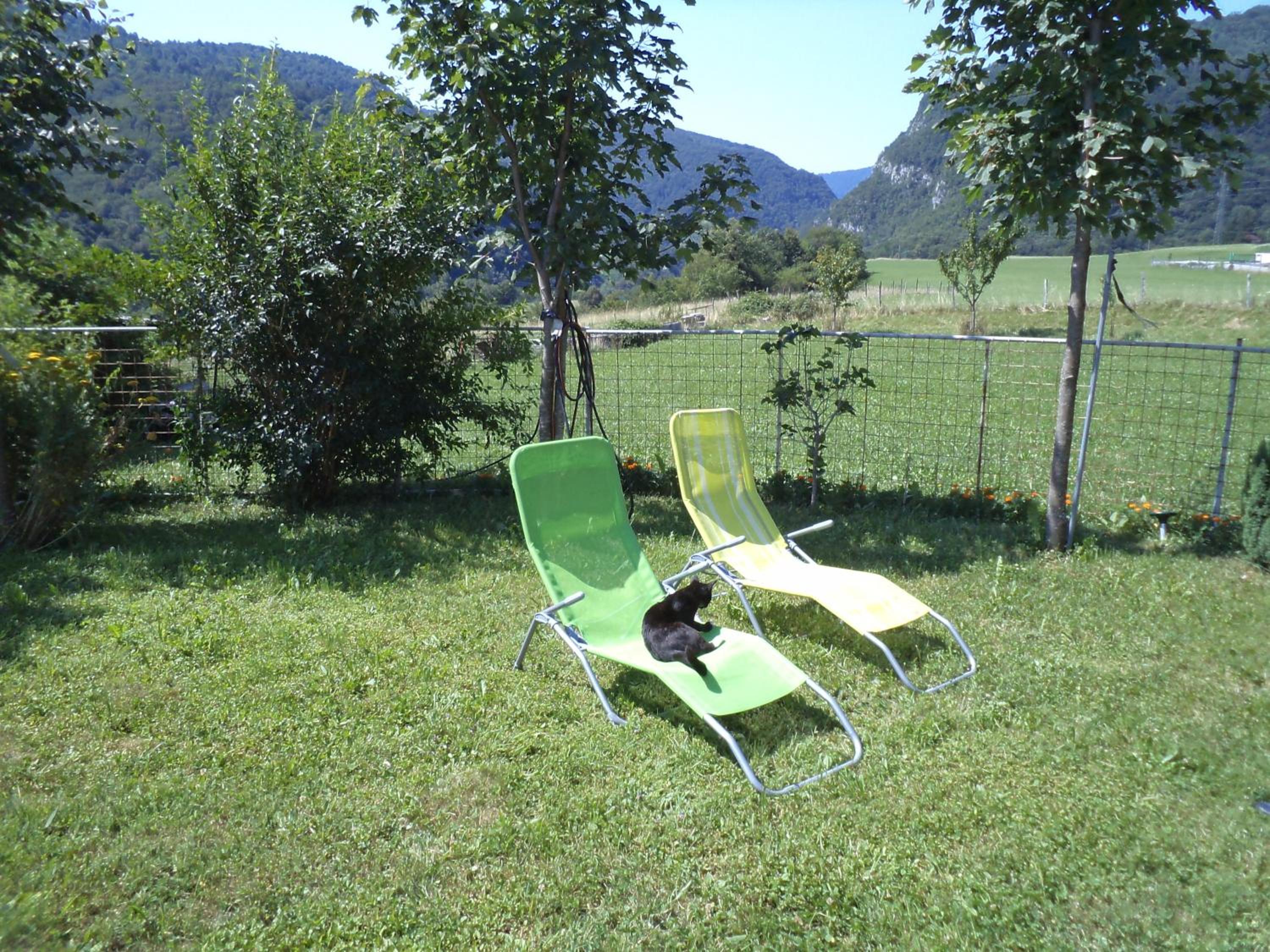 Photo 27