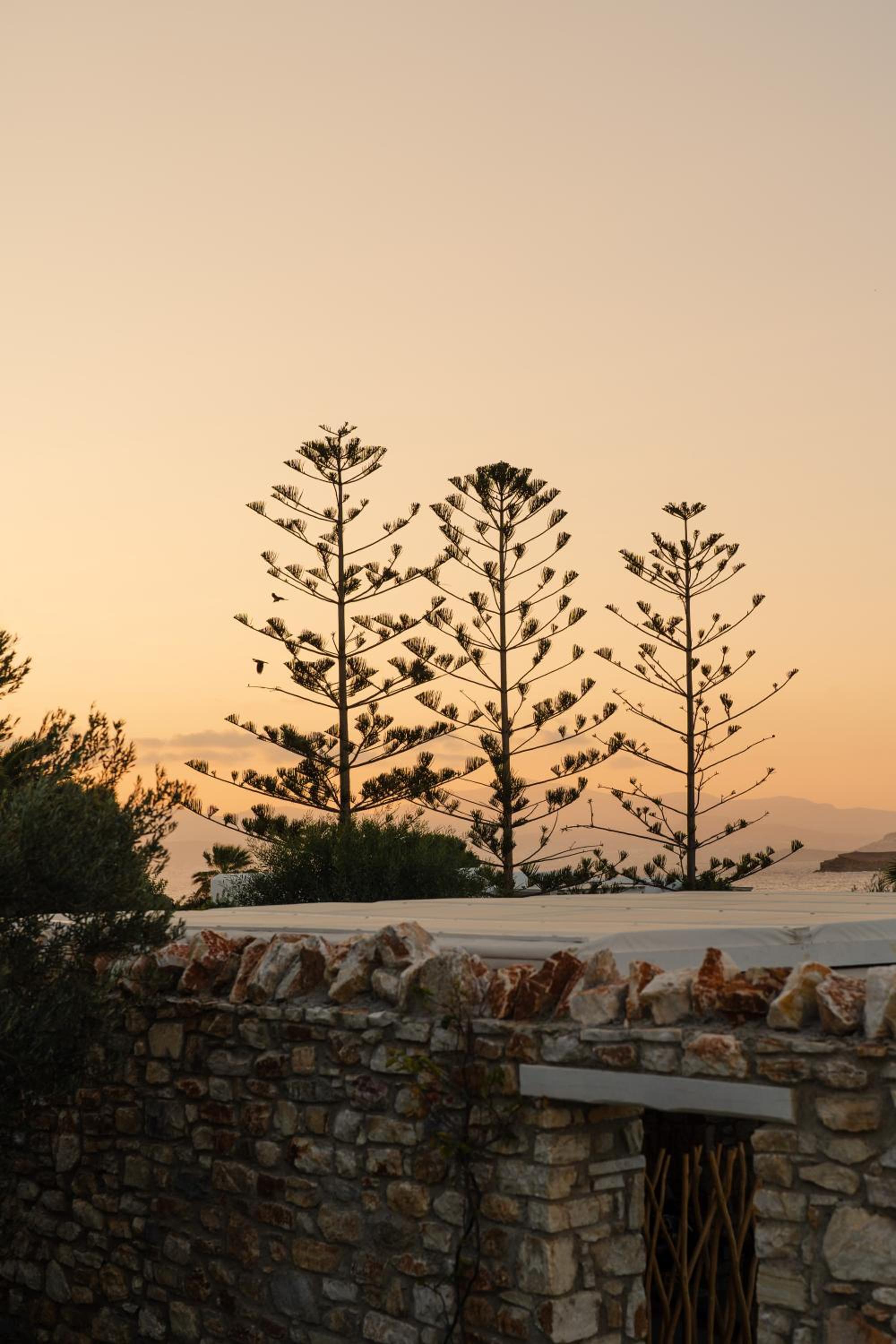 Hotel White Dunes Luxury Boutique Hotel - Image 1