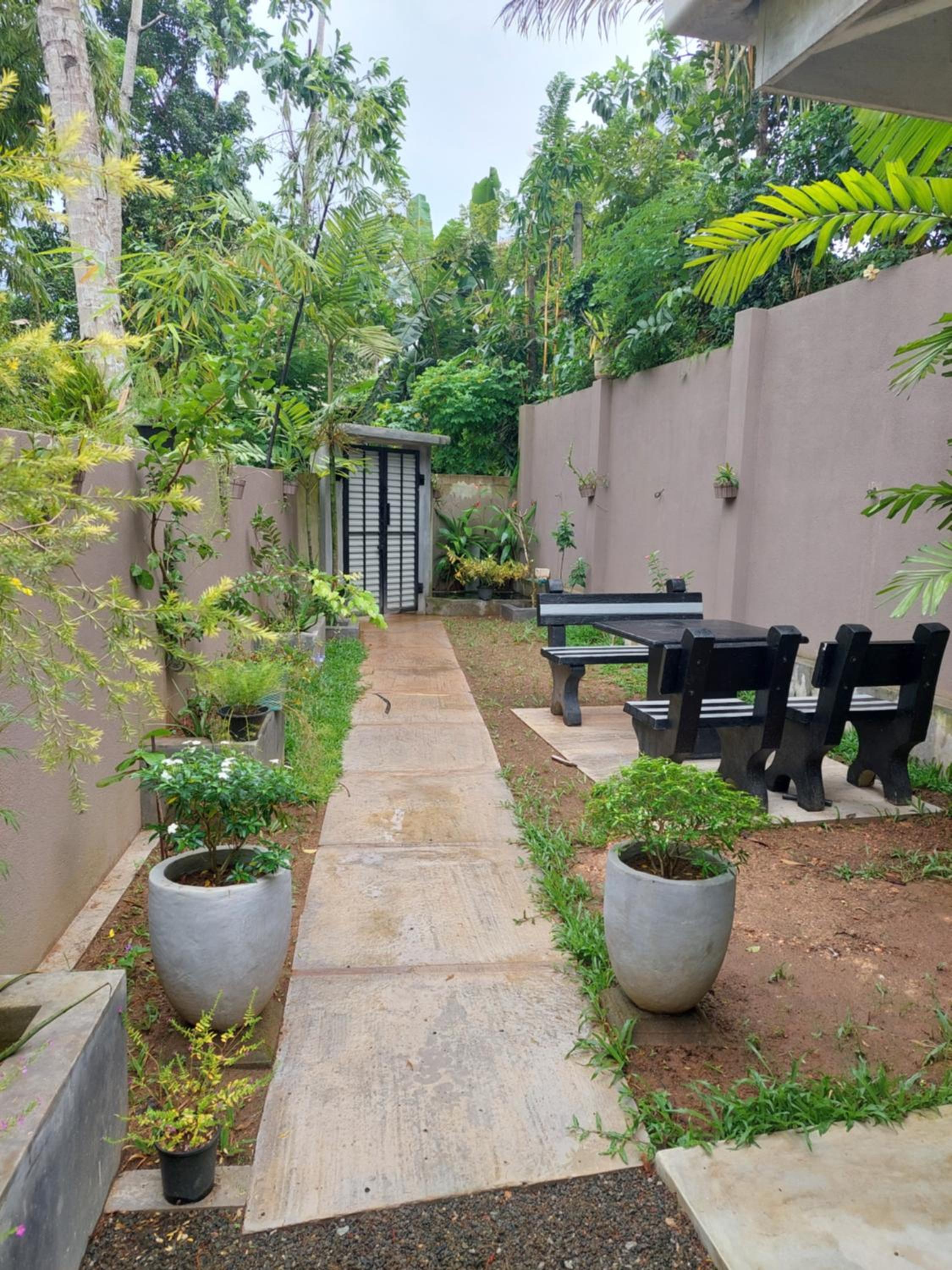 Sudu Guest view 5