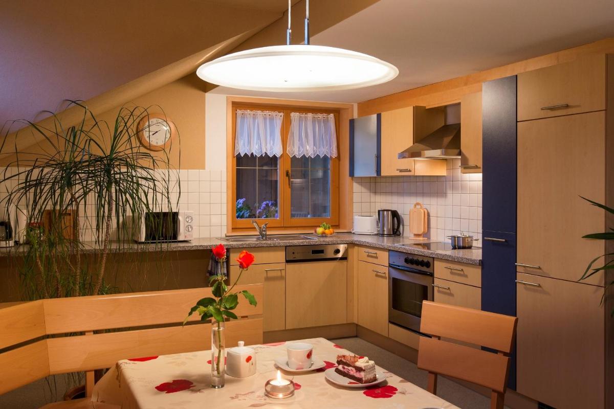 Appartment Hammerer view 3