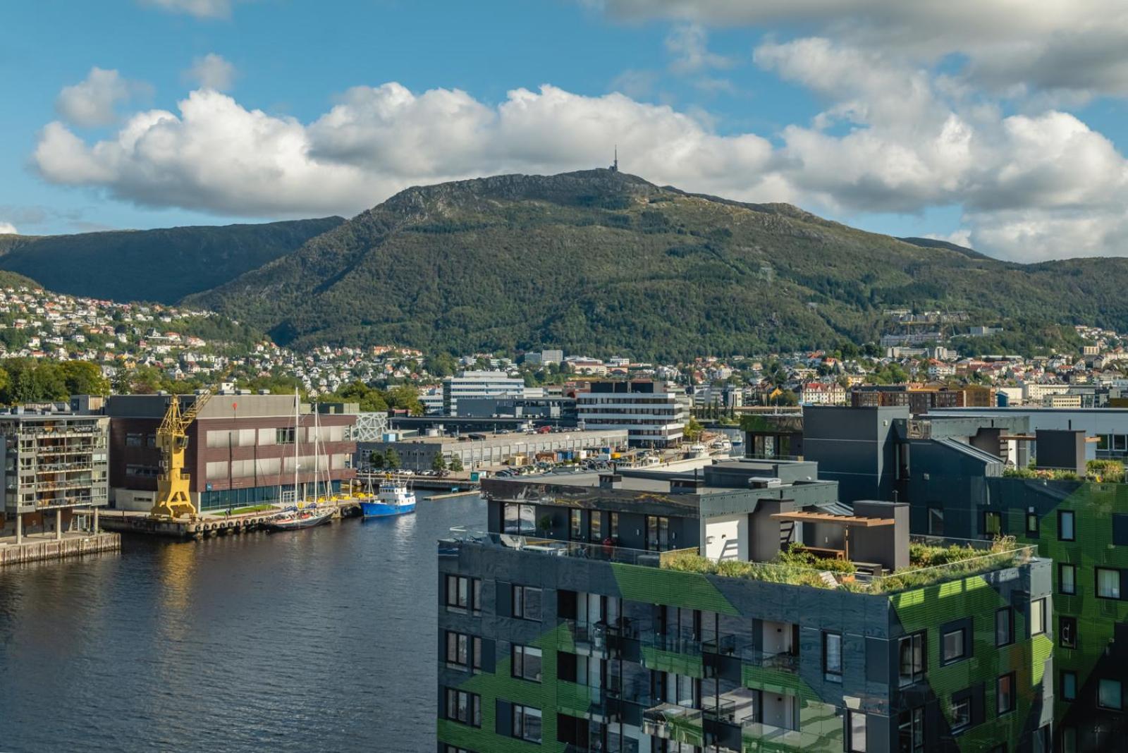 Leilighet i topp etasje med flott stor takterrasse view 2