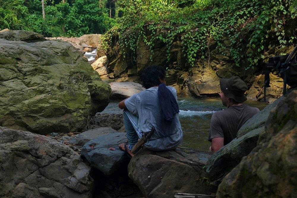 Tropical Jungle lodge & Jungle trekking