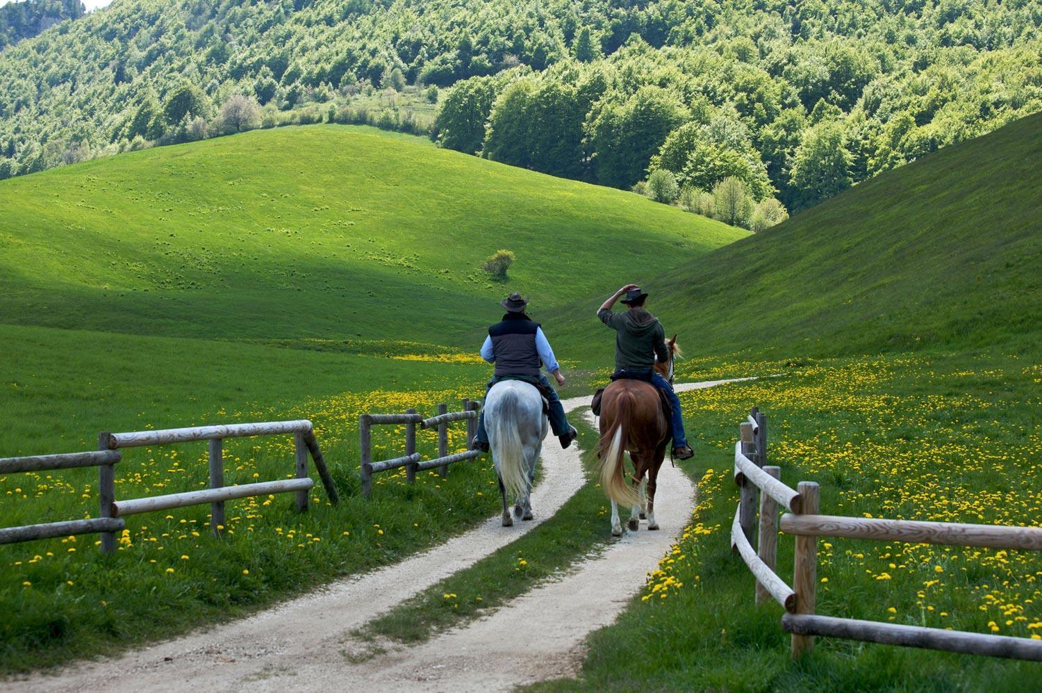 Maso Patrizia - Il tuo rifugio nella natura