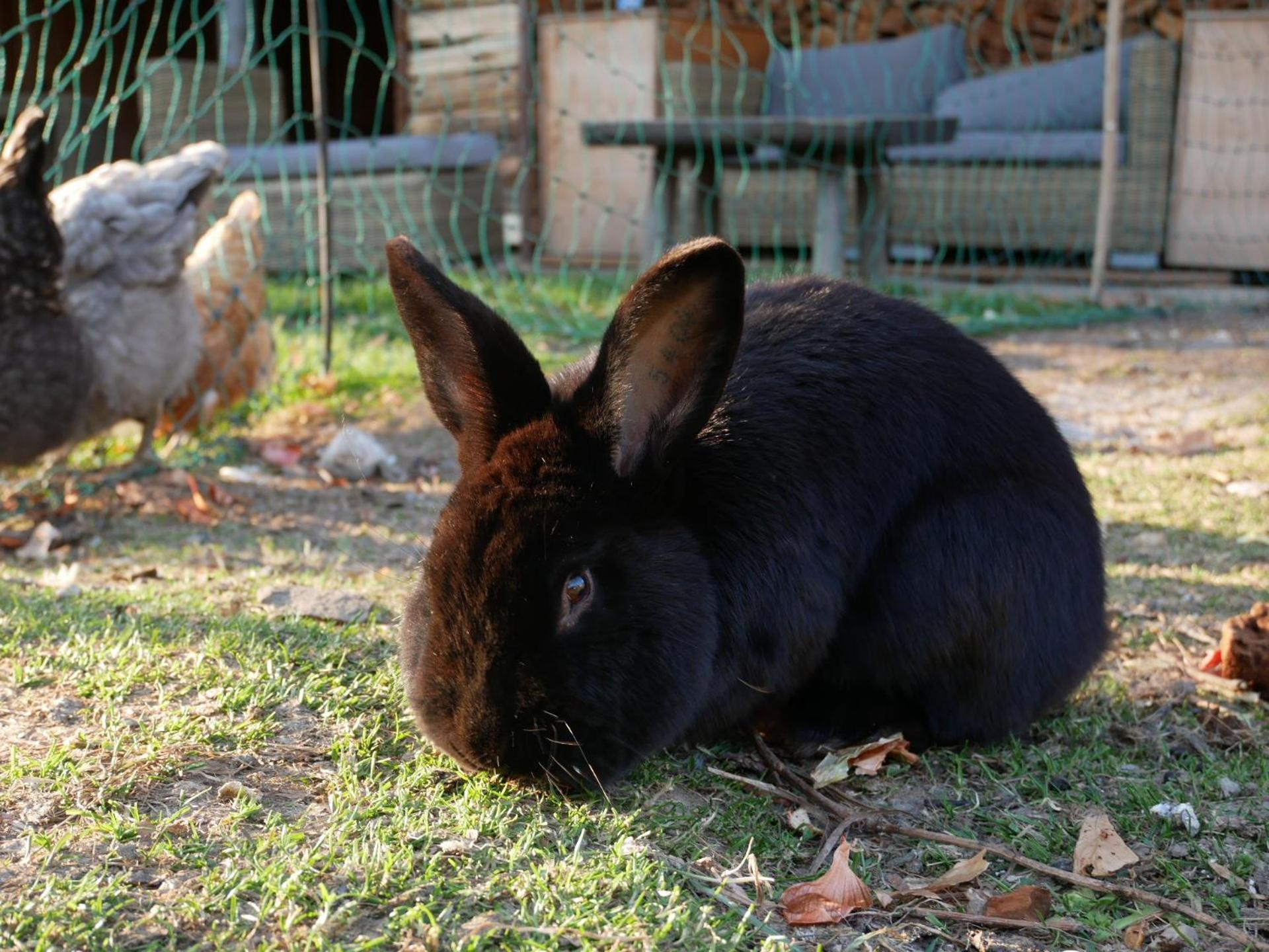 Photo 22