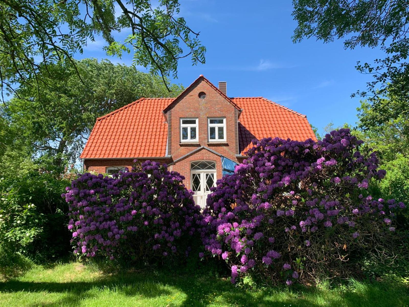 FW auf dem Land view 3